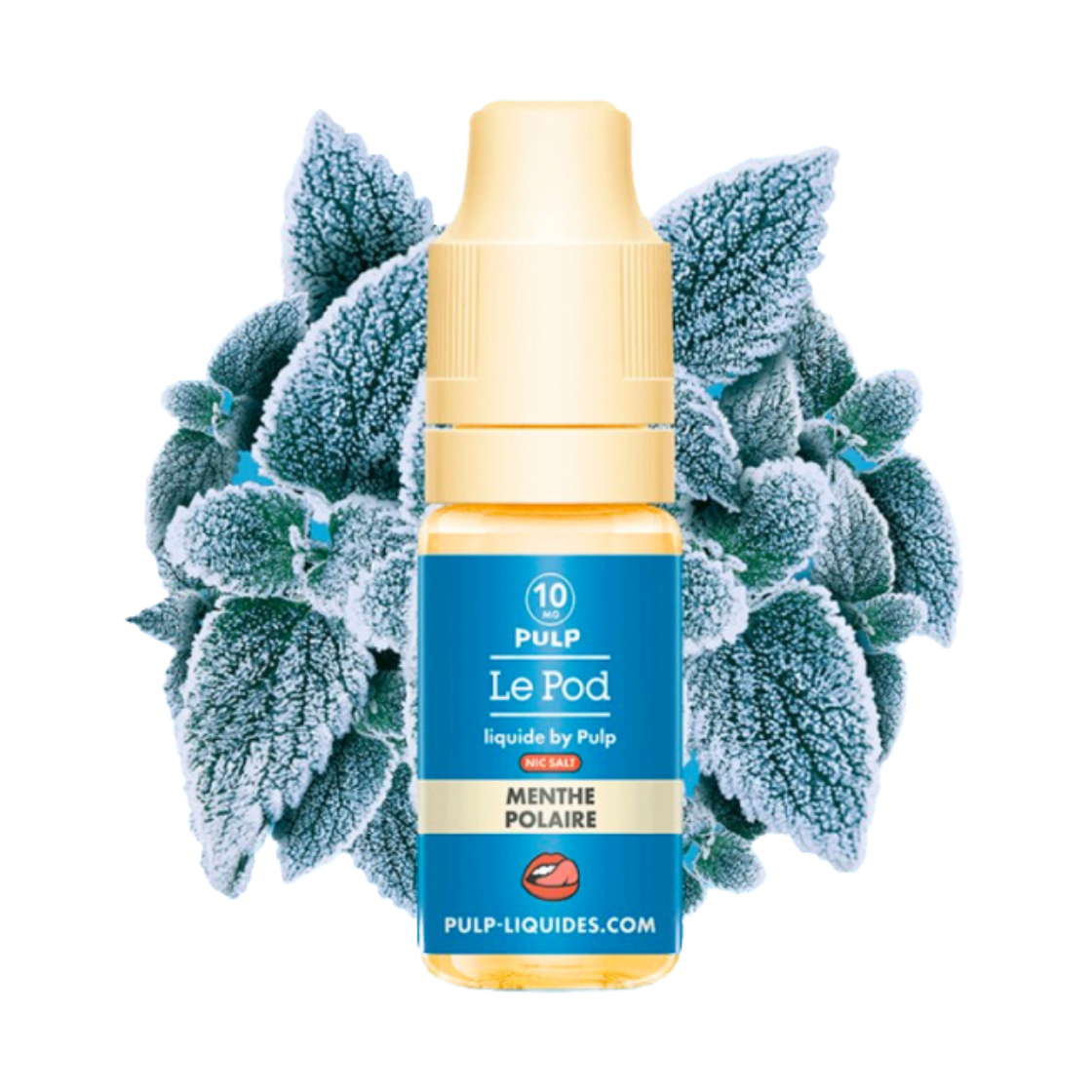 E-liquide Menthe Polaire POD 10ml – Pulp – Sels de Nicotine