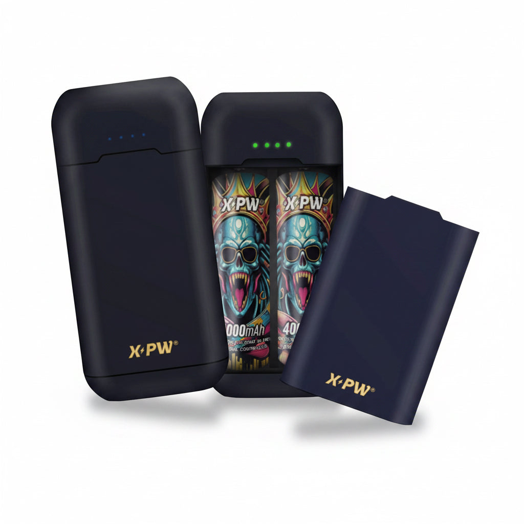 Chargeur accus BL2 Power Bank 8000mAh - X Power