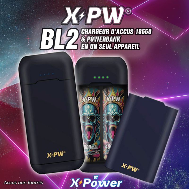 Chargeur accus BL2 Power Bank 8000mAh - X Power